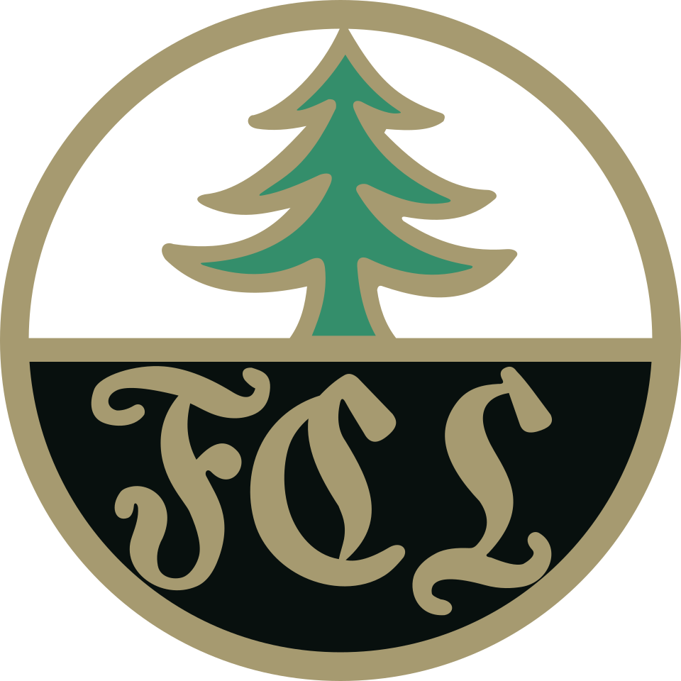 1. FC Lauscha