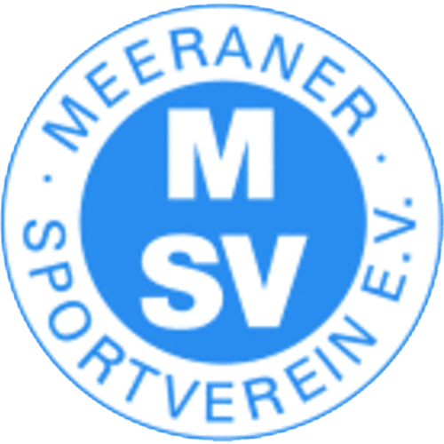 BSG Einheit Meerane